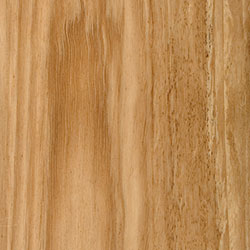 Solid F27 Spotted Gum (  Timber & RoseTimber & Rose